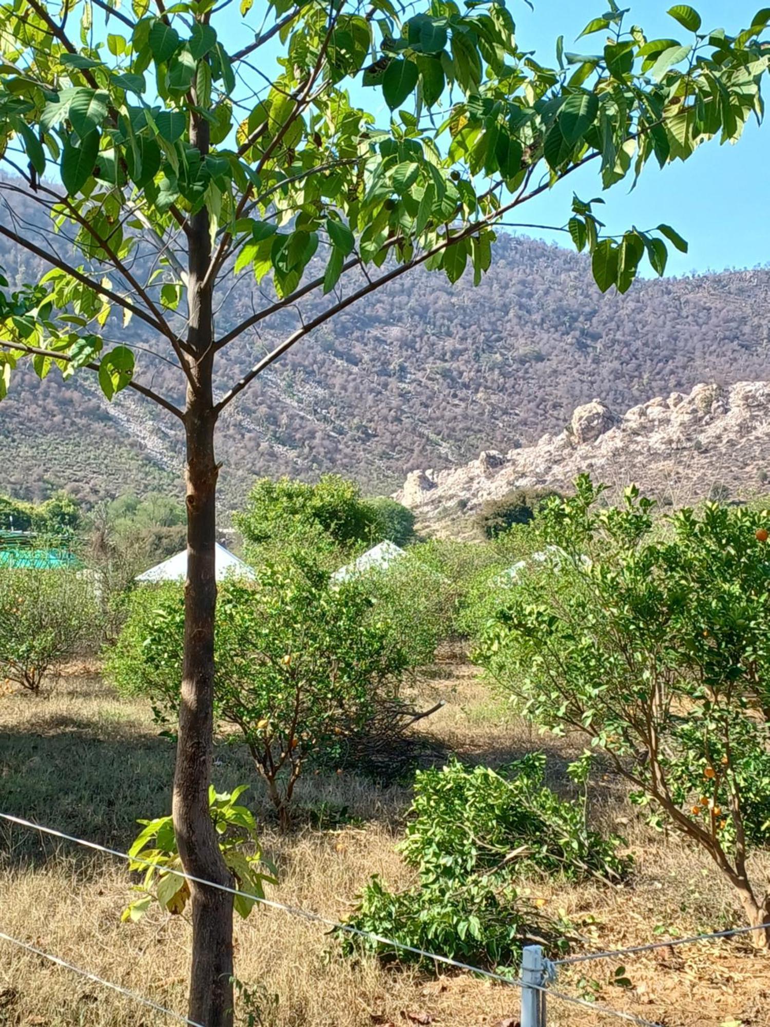 Shivir Aranya - Wilderness Resort อัลวาร์ ภายนอก รูปภาพ